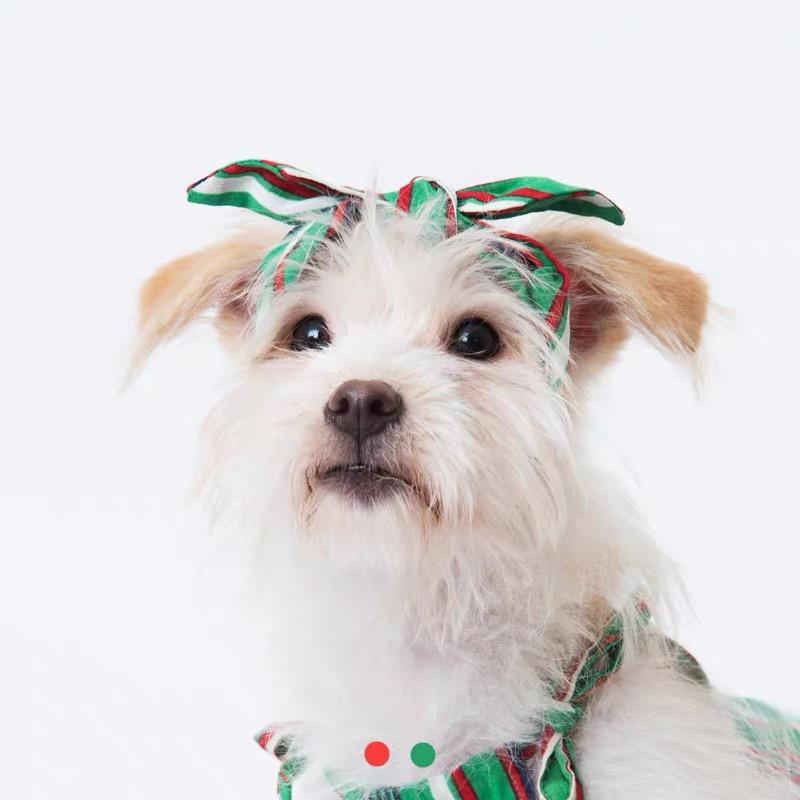 Sniff's Friends Stripe Headband - Green - CreatureLand