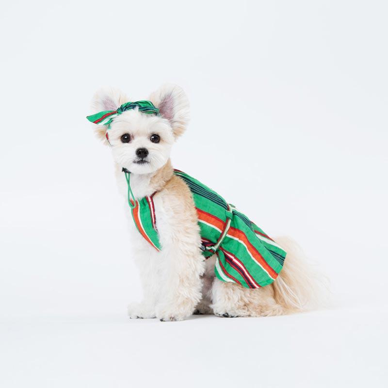 Sniff's Friends Stripe Headband - Green - CreatureLand
