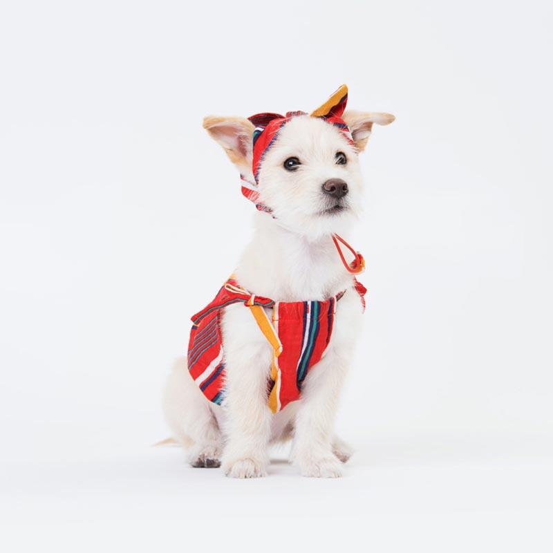 Sniff's Friends Stripe Headband - Red - CreatureLand