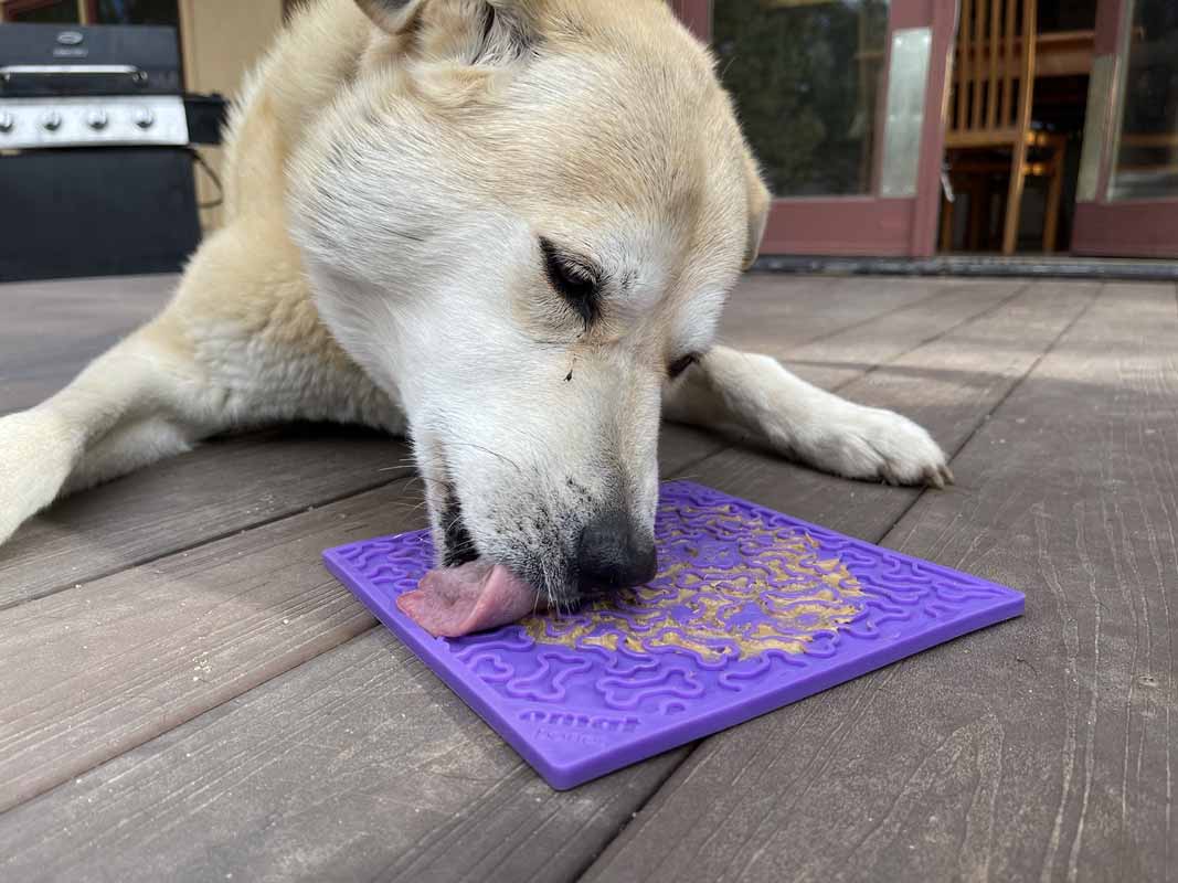 Sodapup Enrichment Licking Mat - Bones (Purple) - CreatureLand