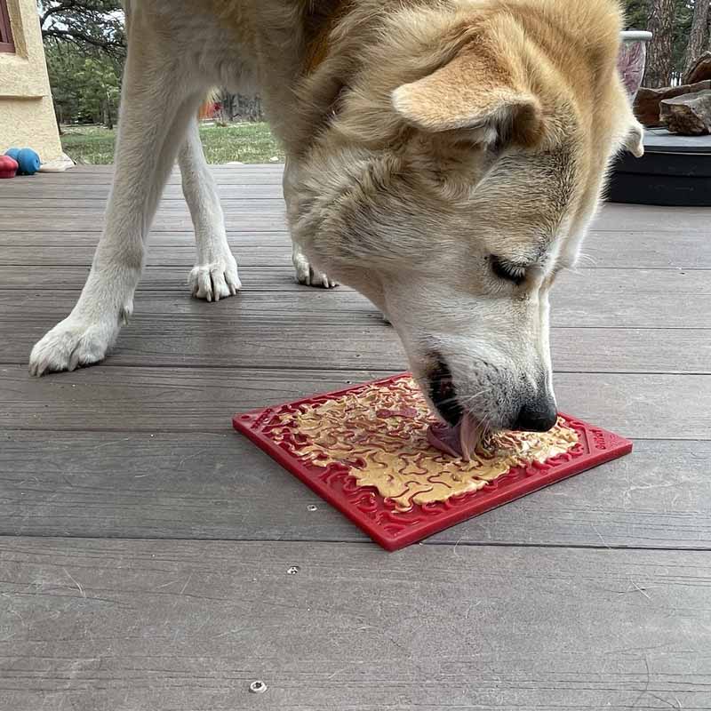 Sodapup Enrichment Licking Mat - Bones (Red) - CreatureLand