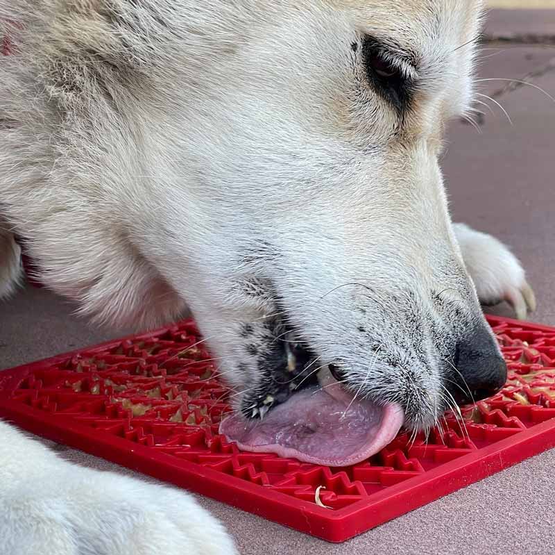 Sodapup Enrichment Licking Mat - Christmas Tree - CreatureLand