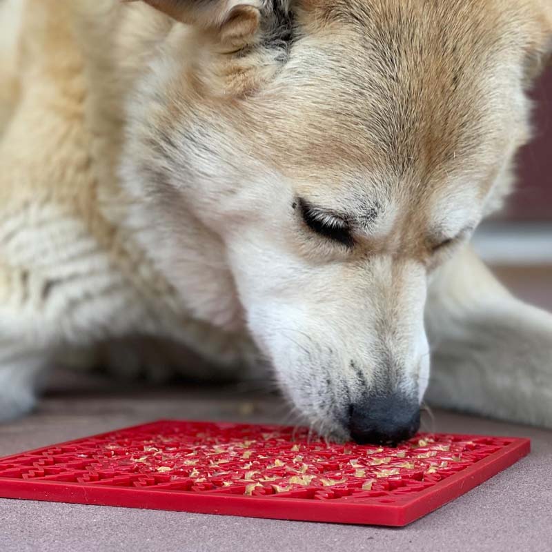 Sodapup Enrichment Licking Mat - Christmas Tree - CreatureLand