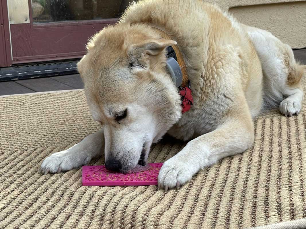 Sodapup Enrichment Licking Mat - Flower Power - CreatureLand