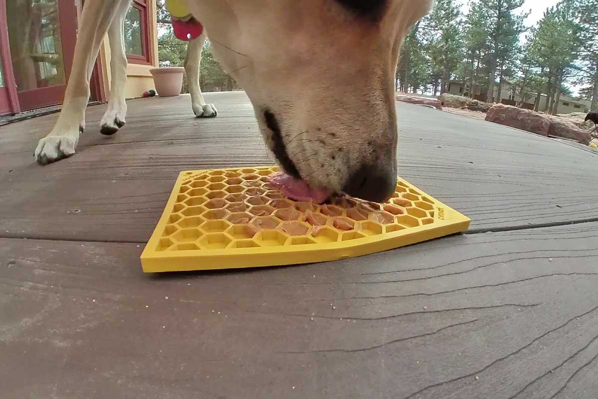 Sodapup Enrichment Licking Mat - Honeycomb - CreatureLand