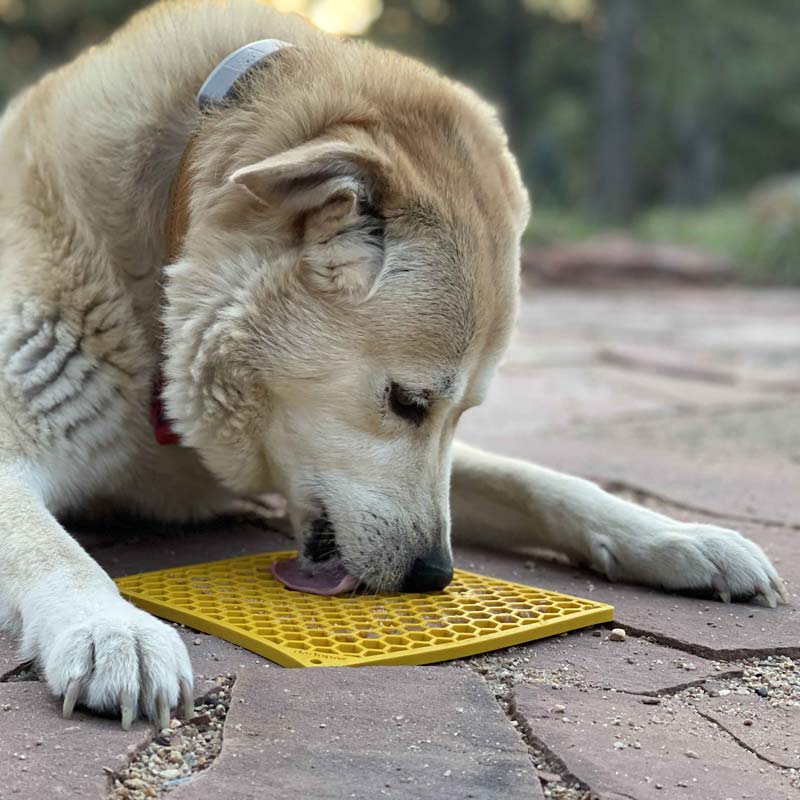 Sodapup Enrichment Licking Mat - Honeycomb (Large / Yellow) - CreatureLand