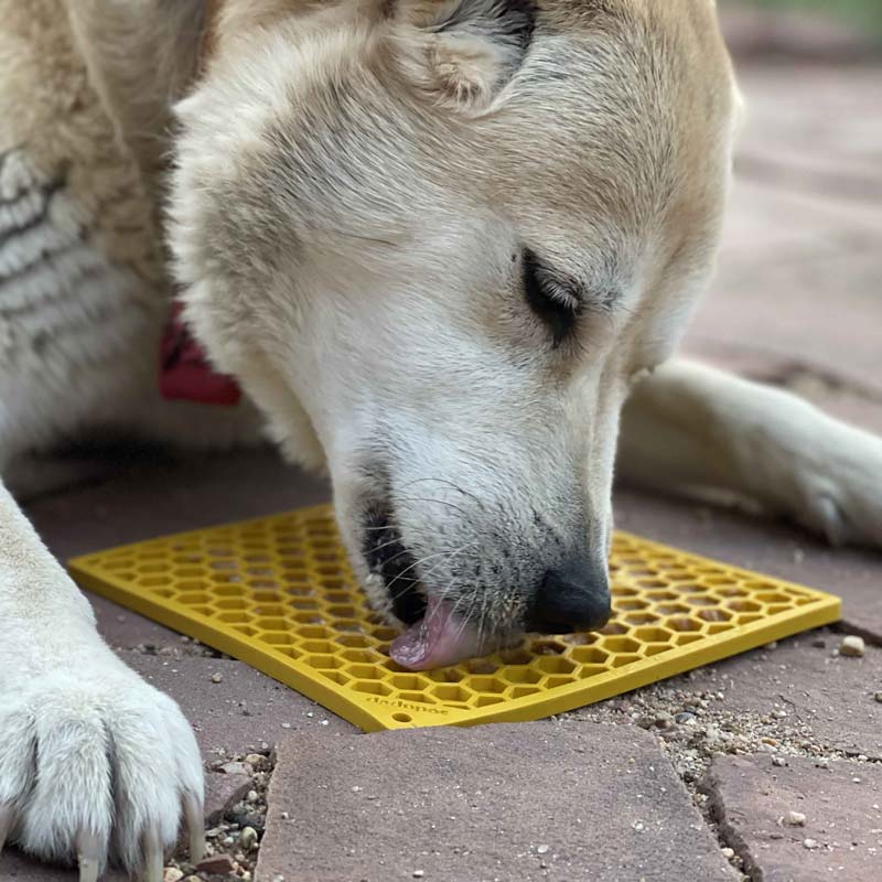 Sodapup Enrichment Licking Mat - Honeycomb (Large / Yellow) - CreatureLand