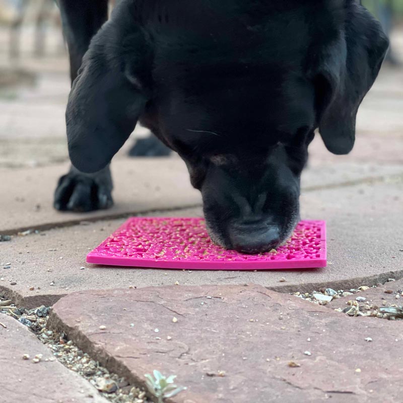 Sodapup Enrichment Licking Mat - Jigsaw (Pink) - CreatureLand