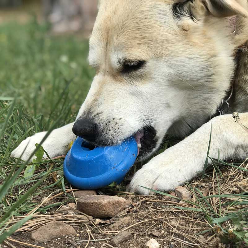 Sodapup Flying Saucer Treat Dispenser & Chew Toy - CreatureLand