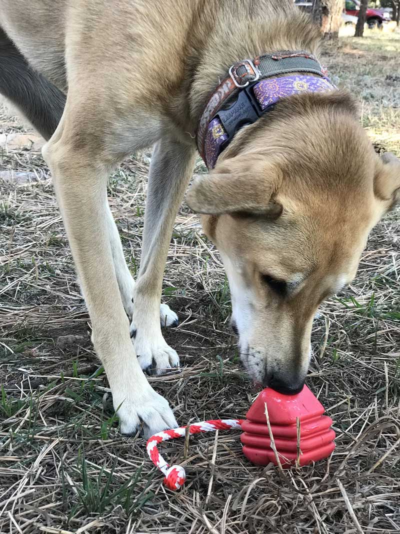 Sodapup Heart On a String - Treat Dispenser, Chew, Tug & Retrieve Toy - CreatureLand