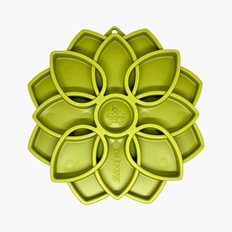Sodapup Mandala eTray Enrichment Tray (Green) - CreatureLand