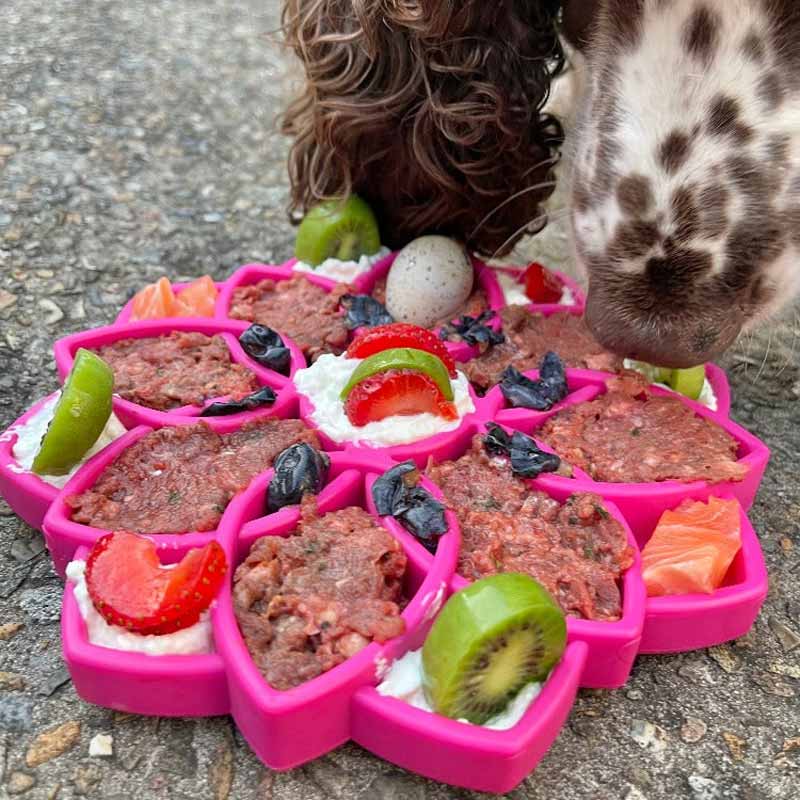 Sodapup Mandala eTray Enrichment Tray (Pink) - CreatureLand