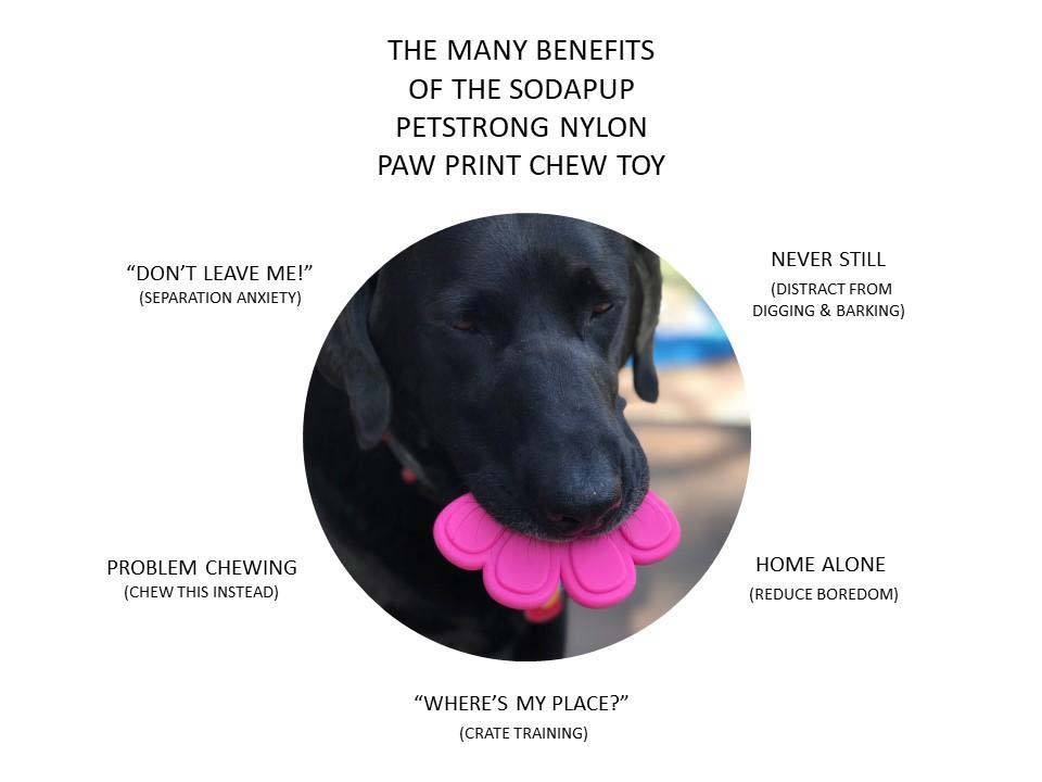 Sodapup Paw Print Nylon Dog Chew Toy - CreatureLand
