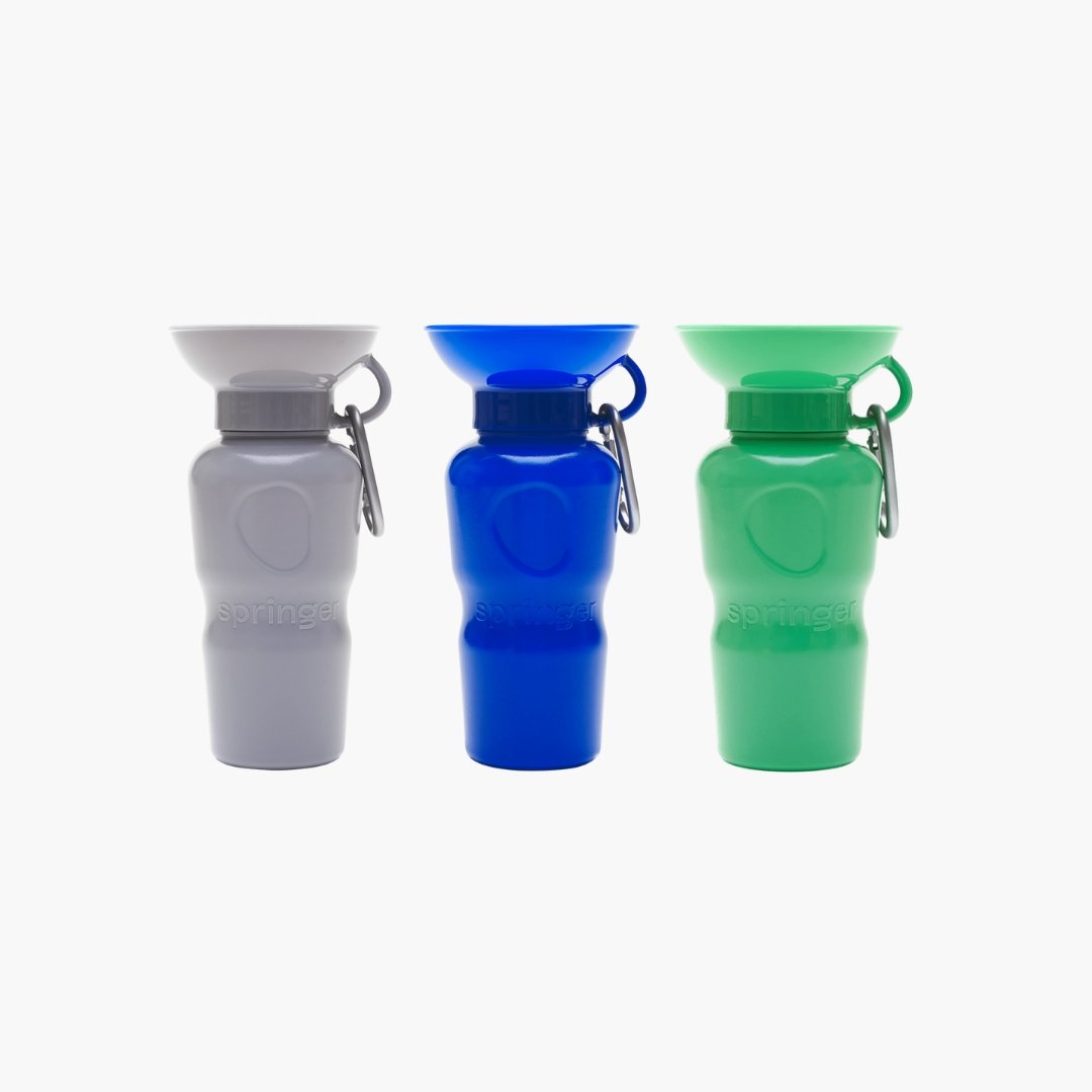 Springer Classic Travel Bottle (6 Colours) - CreatureLand