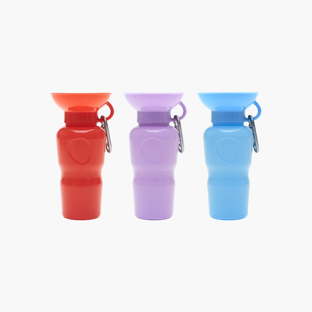 Springer Classic Travel Bottle (6 Colours) - CreatureLand