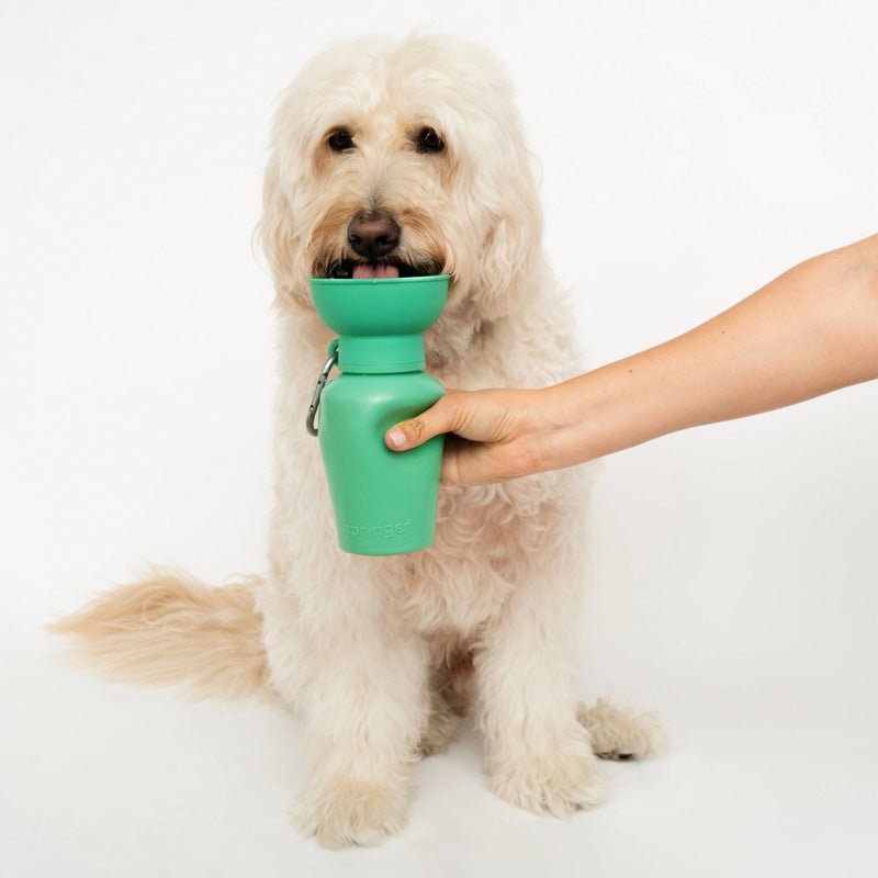 Springer Flip Dog Travel Bottle - CreatureLand