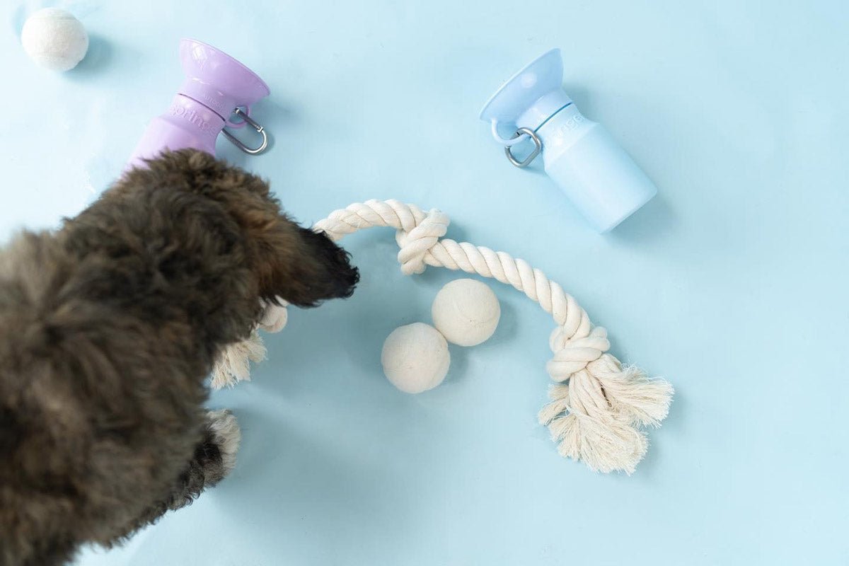 Springer Mini Travel Bottle (3 Colours) - CreatureLand