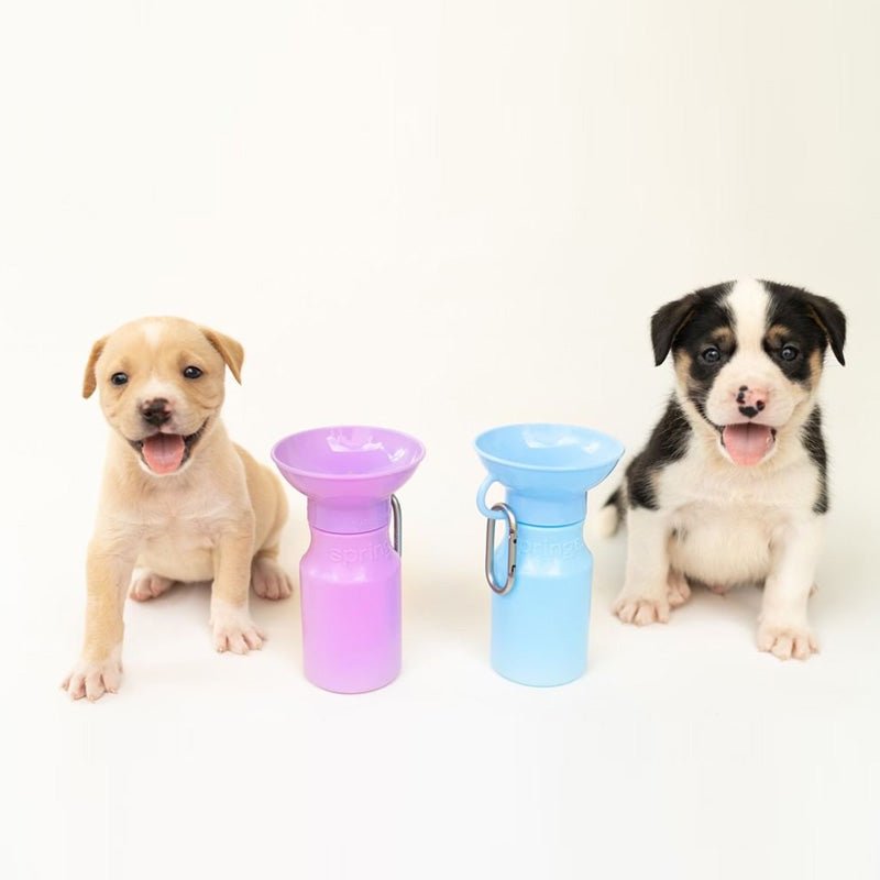 Springer Mini Travel Bottle (3 Colours) - CreatureLand