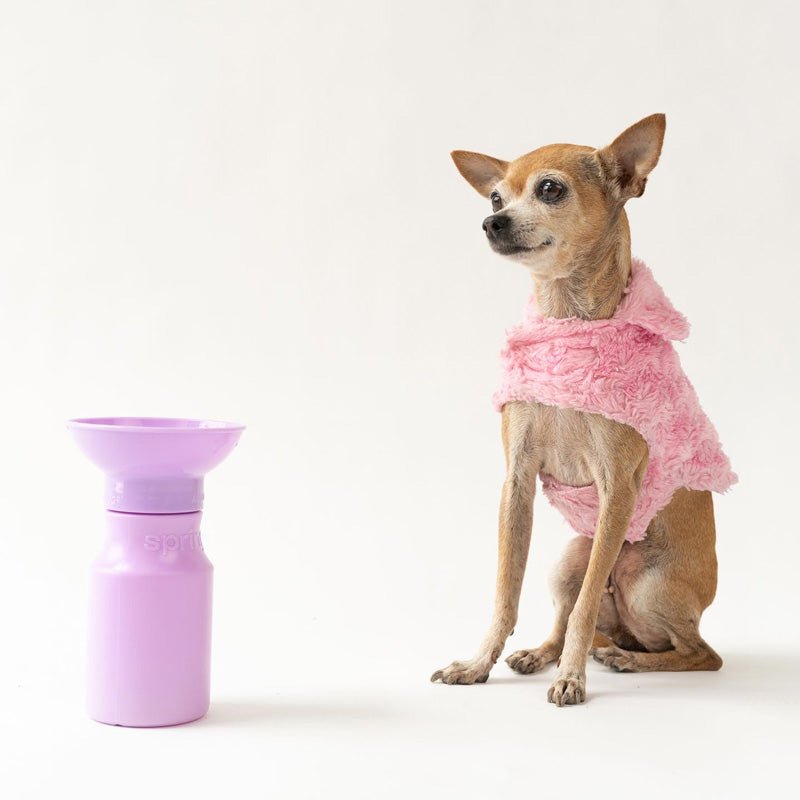 Springer Mini Travel Bottle (3 Colours) - CreatureLand