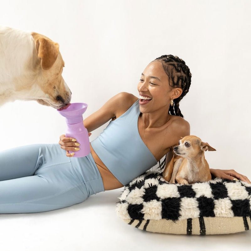 Springer Mini Travel Bottle (3 Colours) - CreatureLand