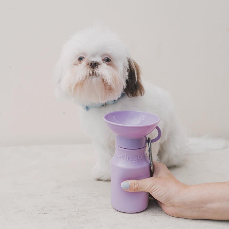 Springer Mini Travel Bottle (3 Colours) - CreatureLand