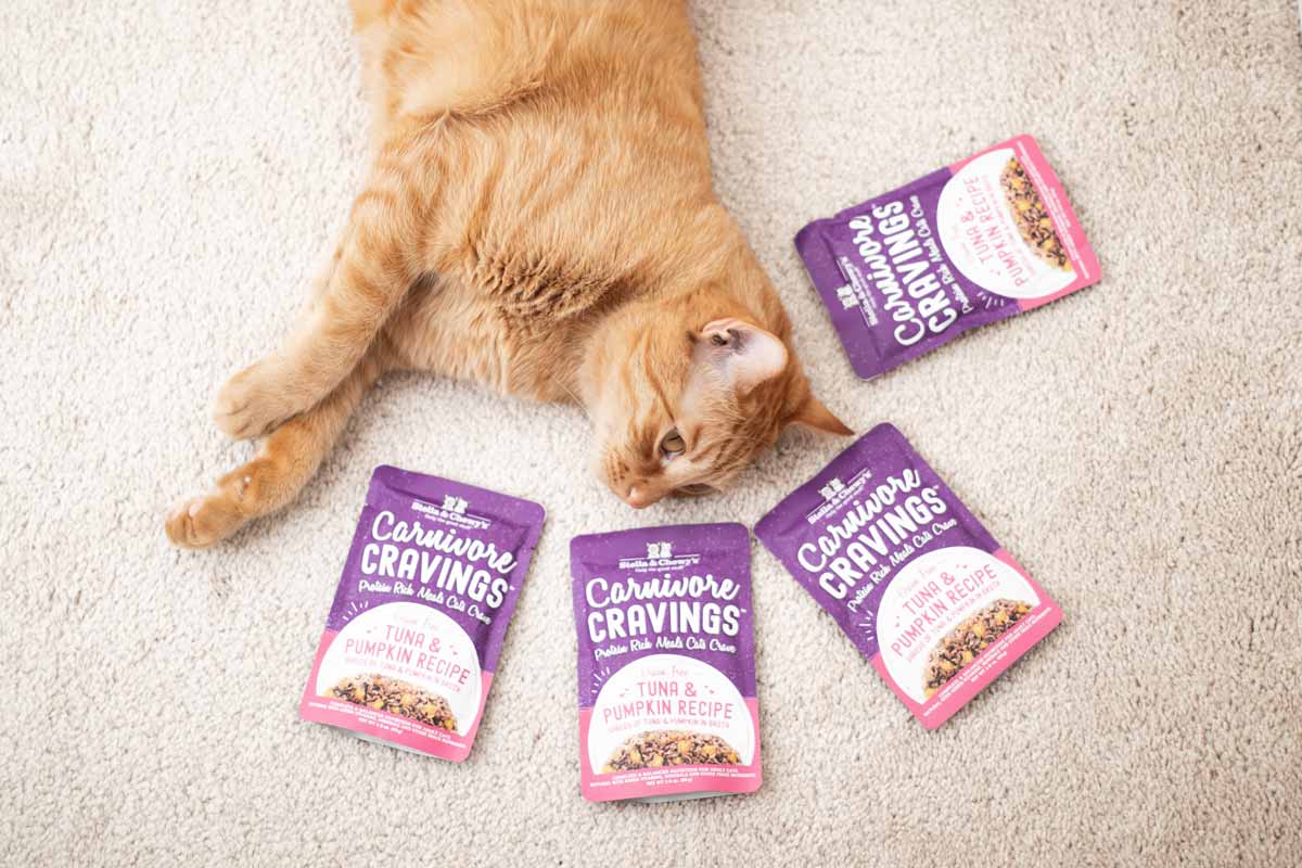 Stella & Chewy's Carnivore Cravings Pouch - Tuna & Pumpkin( 2.8oz ) - CreatureLand