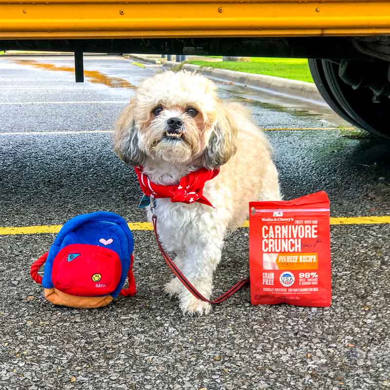 Stella & Chewy's Carnivore Crunch | Beef Freeze-Dried Raw Dog Treats (3.25oz) - CreatureLand