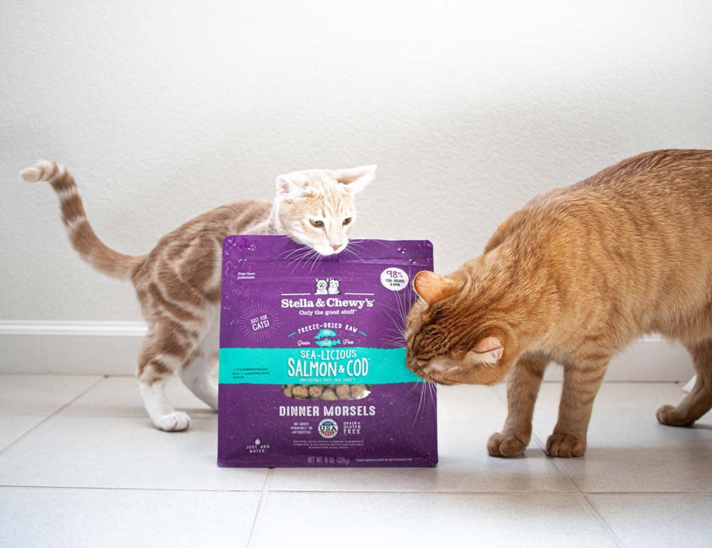 Stella & Chewy's Freeze Dried Dinner Morsels - Sea-Licious Salmon & Cod Recipe - CreatureLand