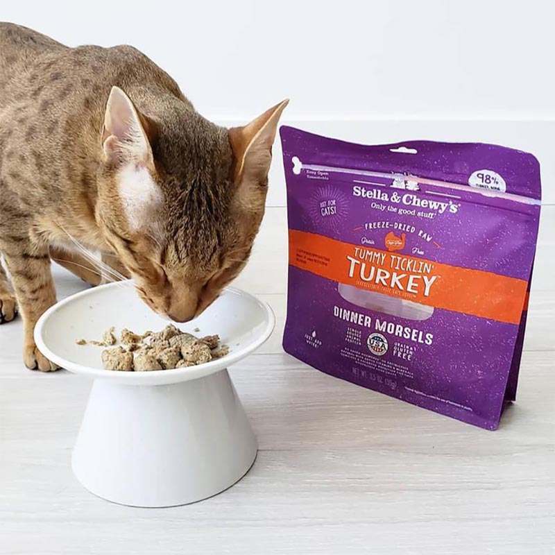 Stella & Chewy's Freeze Dried Dinner Morsels - Tummy Ticklin' Turkey (2 Sizes) - CreatureLand