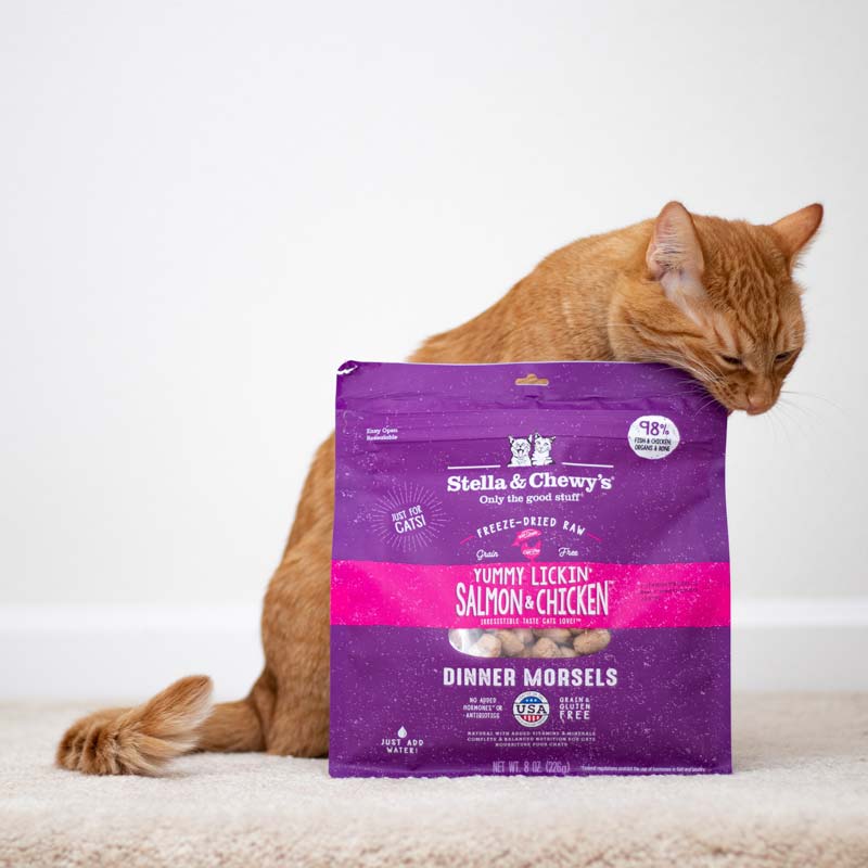Stella & Chewy's Freeze Dried Dinner Morsels - Yummy Lickin Salmon & Chicken (2 Sizes) - CreatureLand