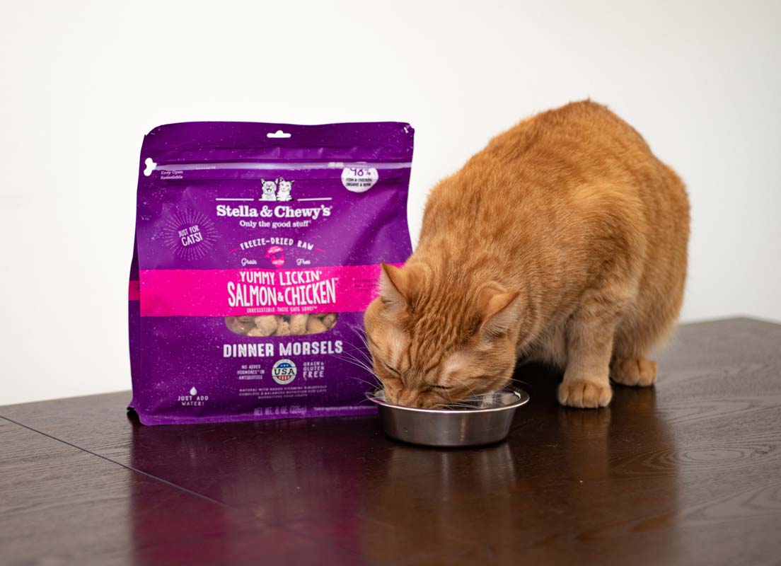 Stella & Chewy's Freeze Dried Dinner Morsels - Yummy Lickin Salmon & Chicken (2 Sizes) - CreatureLand