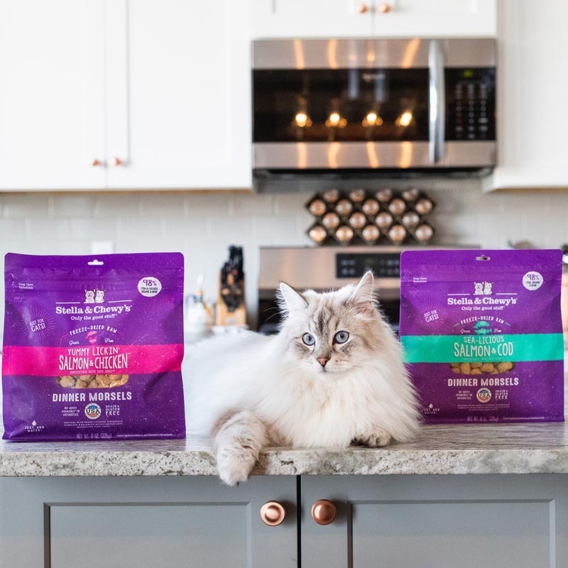 Stella & Chewy's Freeze Dried Dinner Morsels - Yummy Lickin Salmon & Chicken (2 Sizes) - CreatureLand