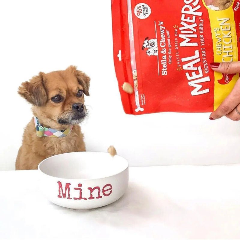 Stella & Chewy's Freeze-Dried Meal Mixers | Chewy’s Chicken (2 Sizes) - CreatureLand