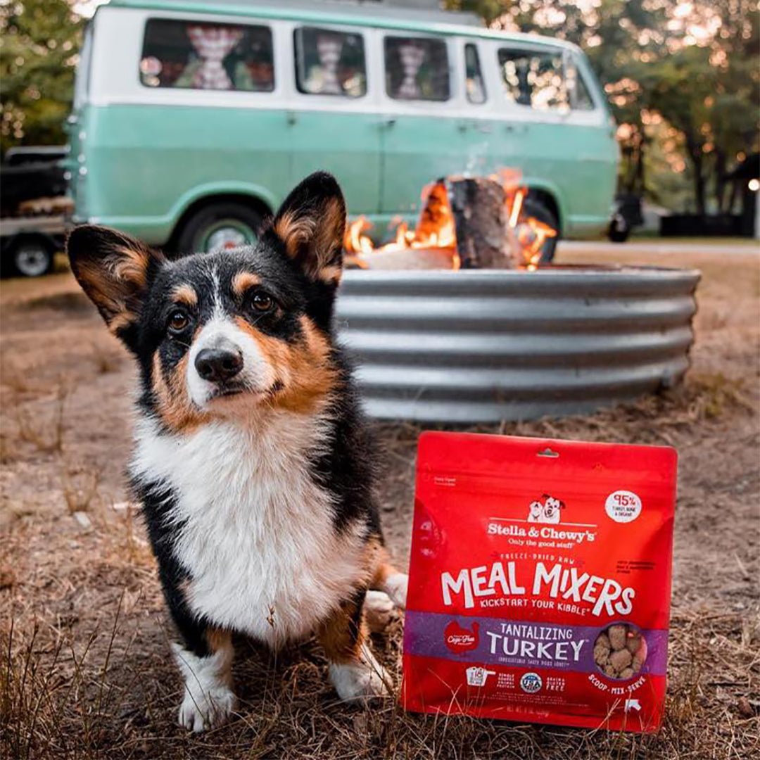 Stella & Chewy's Freeze-Dried Meal Mixers | Tantalizing Turkey (2 Sizes) - CreatureLand