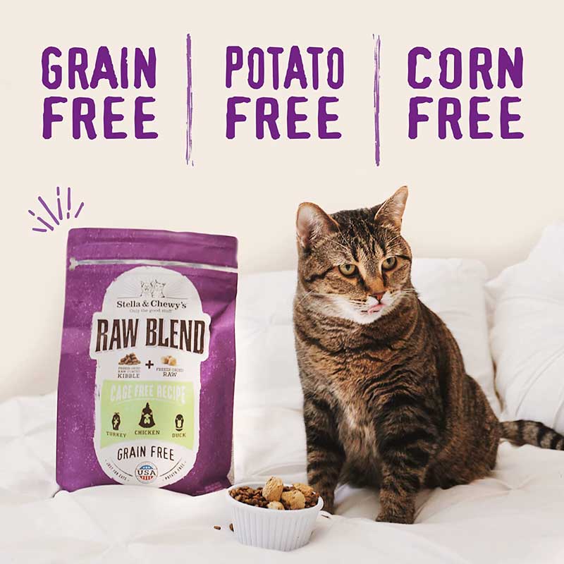 Stella & Chewy's Freeze-Dried Raw Blend Kibble | Cage Free Chicken (2 sizes) - CreatureLand