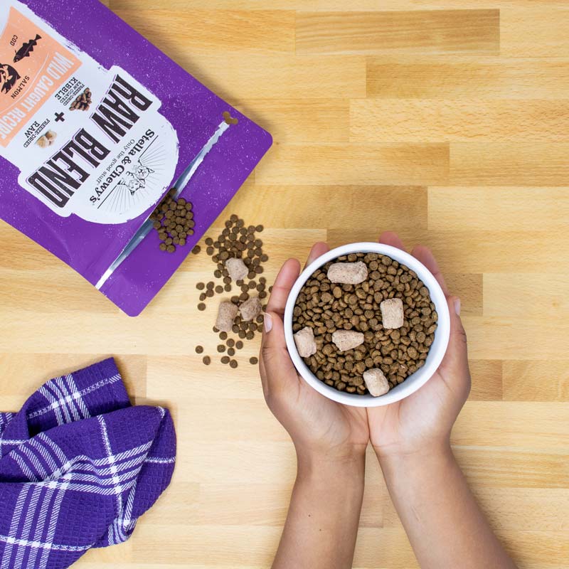 Stella & Chewy's Freeze-Dried Raw Blend Kibble | Wild-Caught Fish (5lb) - CreatureLand