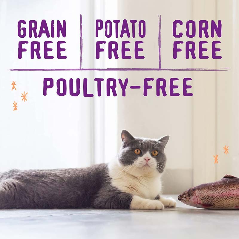 Stella & Chewy's Freeze-Dried Raw Blend Kibble | Wild-Caught Fish (5lb) - CreatureLand