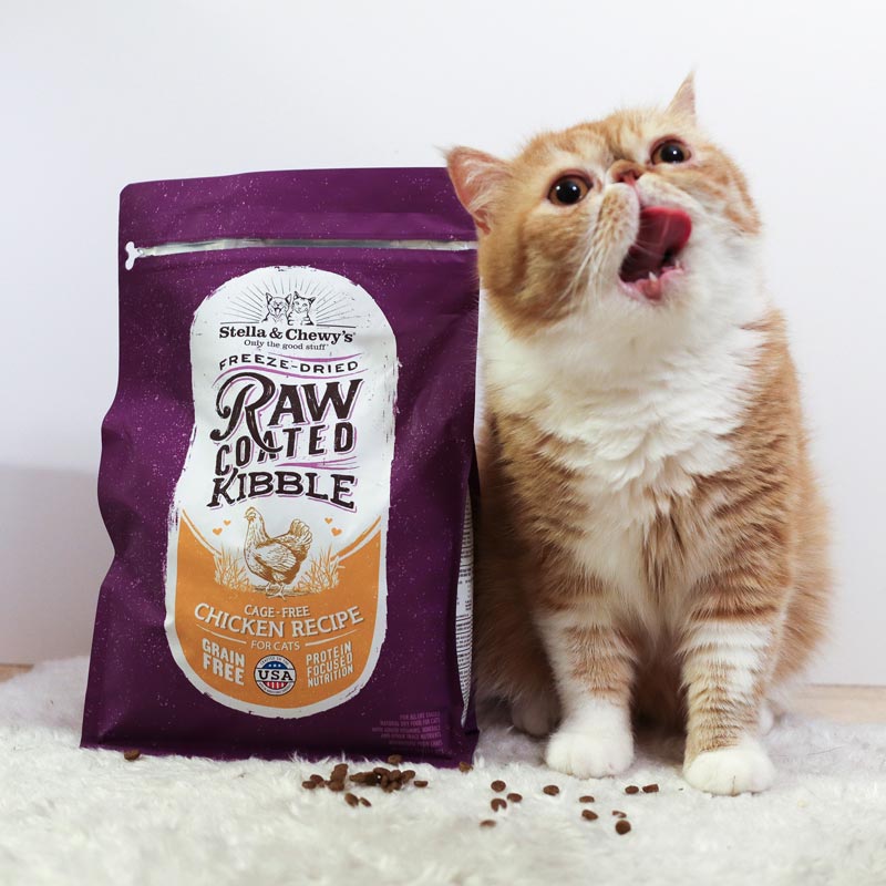 Stella & Chewy's Freeze-Dried Raw Coated Kibble - Cage Free Chicken (2 Sizes) - CreatureLand