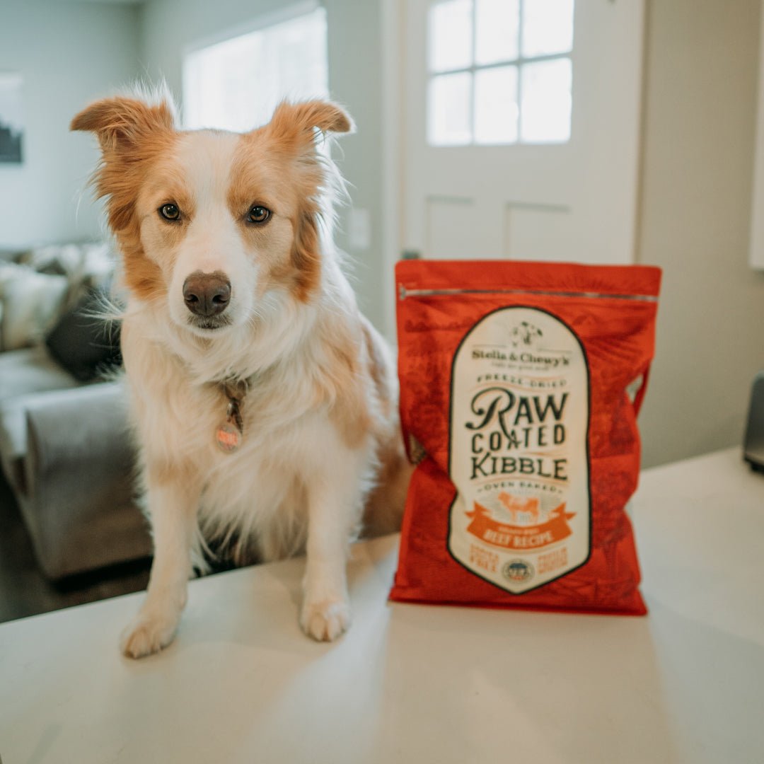 Stella & Chewy's Freeze-Dried Raw Coated Kibble | Grass-Fed Beef (2 Sizes) - CreatureLand