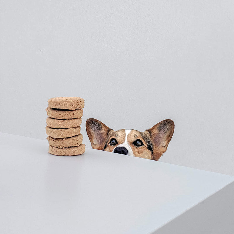 Stella & Chewy's Freeze-Dried Raw Dinner Patties | Absolutely Rabbit (14oz) - CreatureLand