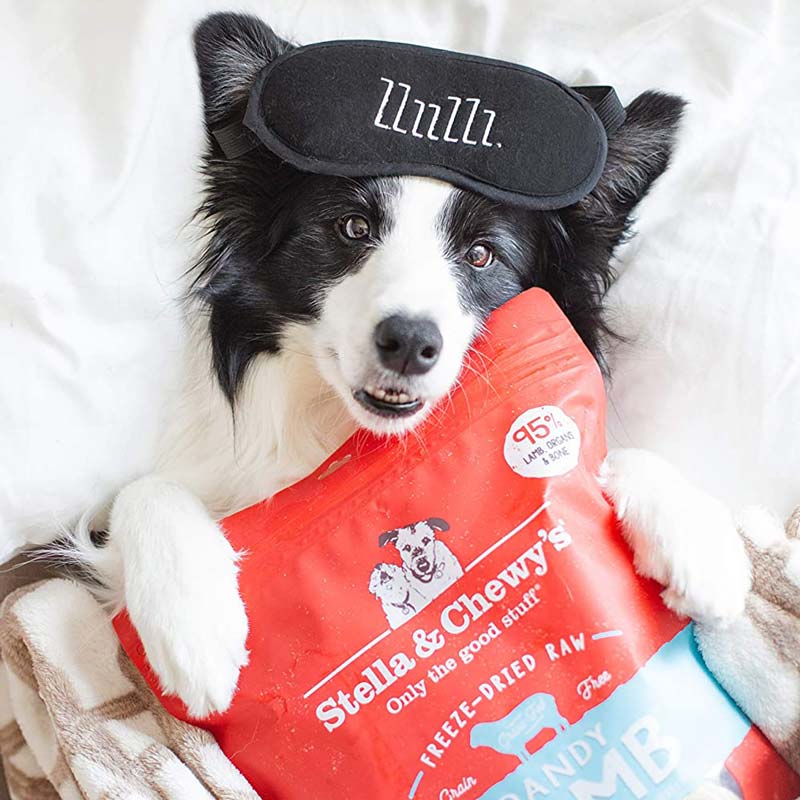 Stella & Chewy's Freeze-Dried Raw Dinner Patties | Dandy Lamb (2 Sizes) - CreatureLand