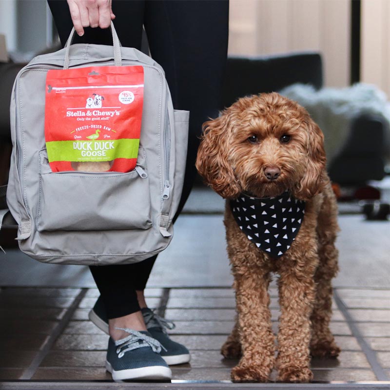 Stella & Chewy's Freeze-Dried Raw Dinner Patties | Duck Duck Goose (2 Sizes) - CreatureLand