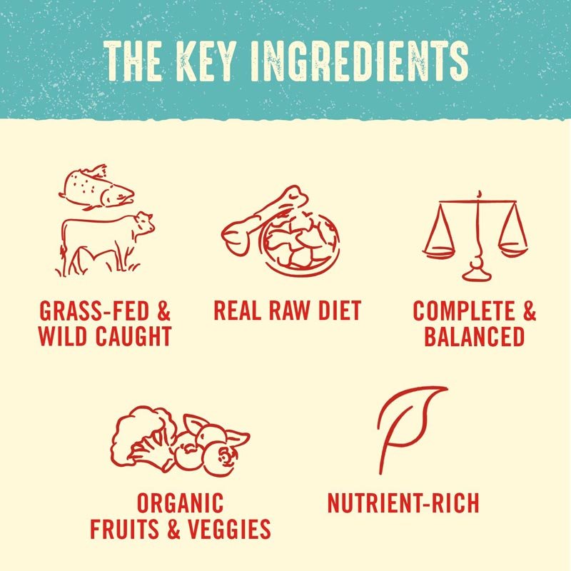Stella & Chewy's Freeze-Dried Raw Dinner Patties | Perfectly Puppy - Beef & Salmon (14oz) - CreatureLand