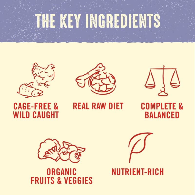 Stella & Chewy's Freeze-Dried Raw Dinner Patties | Perfectly Puppy - Chicken & Salmon (14oz) - CreatureLand