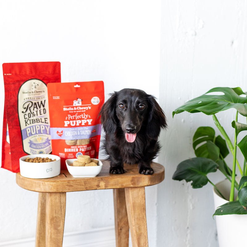 Stella & Chewy's Freeze-Dried Raw Dinner Patties | Perfectly Puppy - Chicken & Salmon (14oz) - CreatureLand