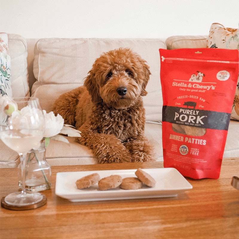 Stella & Chewy's Freeze-Dried Raw Dinner Patties | Purely Pork (14oz) - CreatureLand