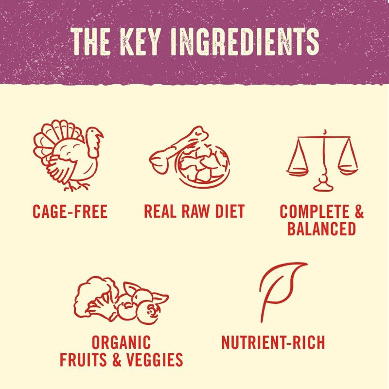 Stella & Chewy's Freeze-Dried Raw Dinner Patties | Tantalizing Turkey (14oz) - CreatureLand