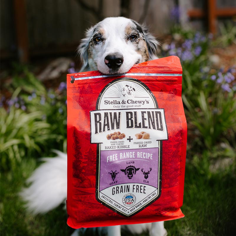 Stella & Chewy's Raw Blend Kibble | Free Range (2 Sizes) - CreatureLand