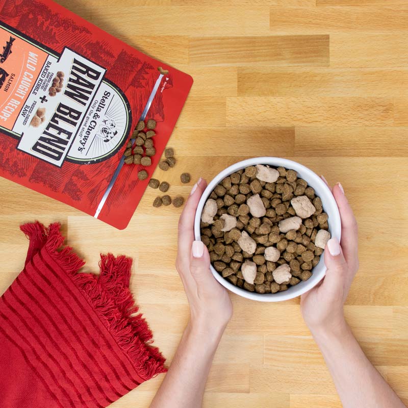 Stella & Chewy's Raw Blend Kibble | Wild Caught Fish (2 Sizes) - CreatureLand