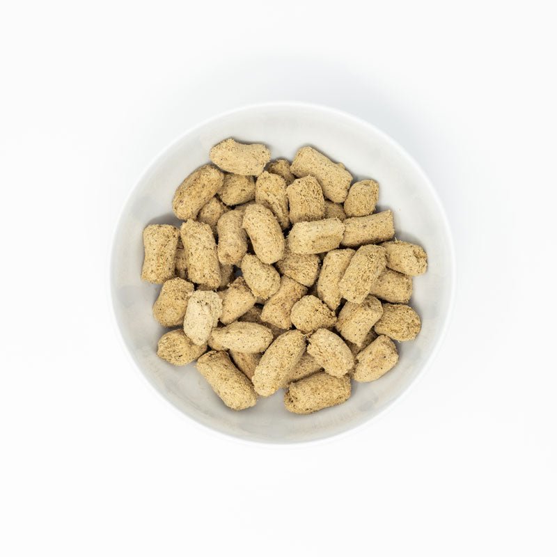 Stella & Chewy's Stella’s Solutions | Digestive Boost Beef Freeze-Dried Dog Food (13oz) - CreatureLand